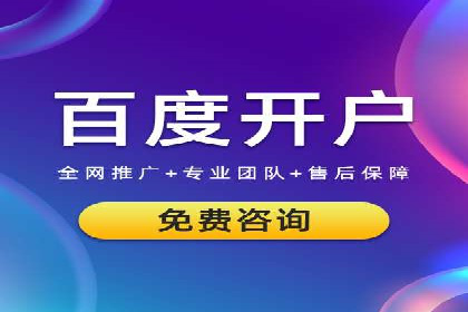 百度竞价排名案例解析：如何快速提升网站流量